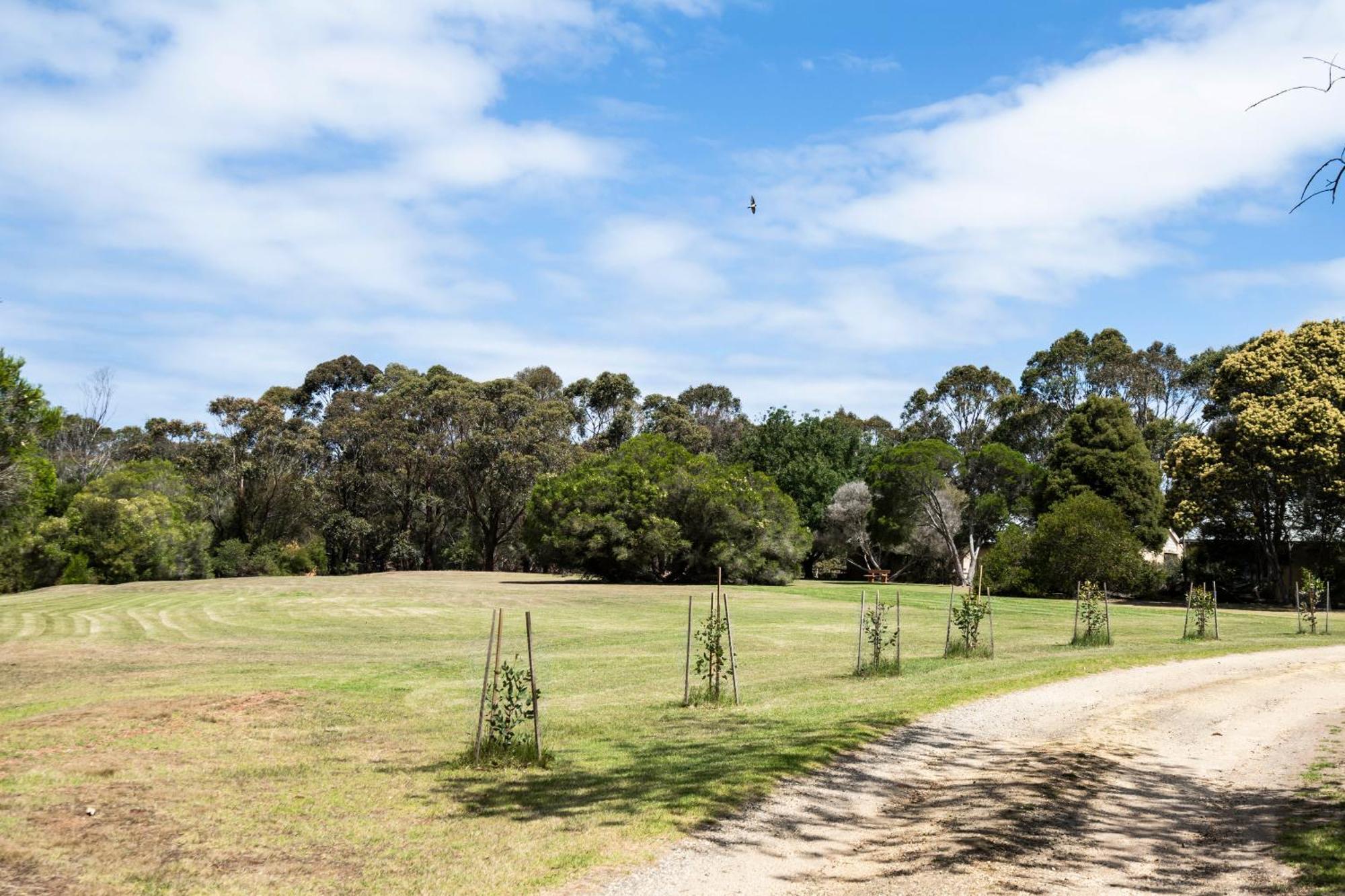 Bells Beach Cottages Bellbrae Extérieur photo
