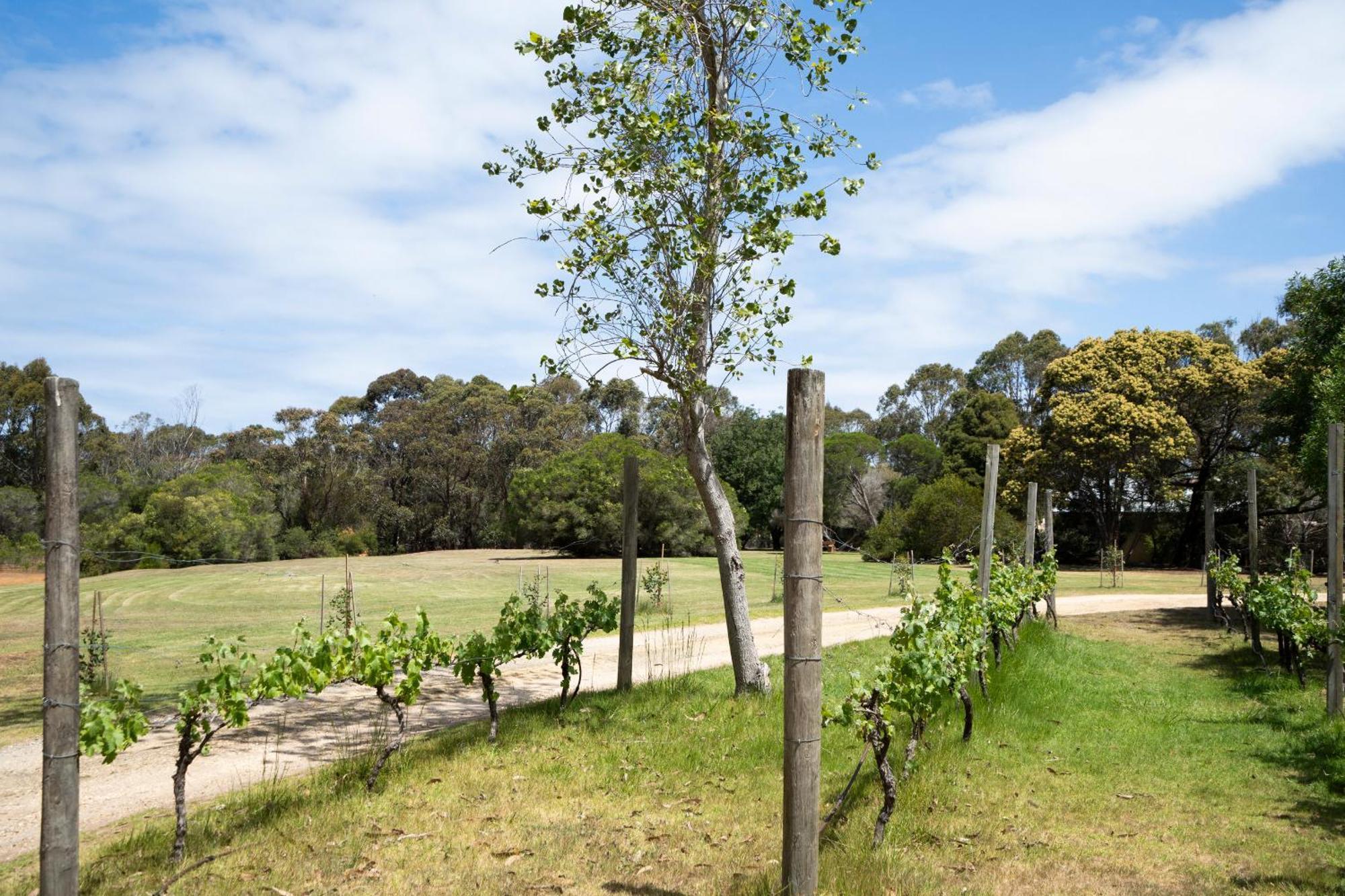 Bells Beach Cottages Bellbrae Extérieur photo